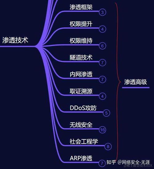 安全小白系统自学计算机科学与黑客技术的路径指南